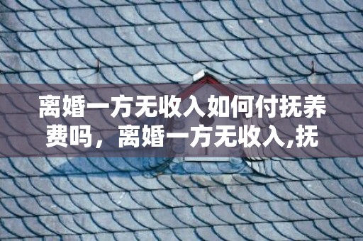 离婚一方无收入如何付抚养费吗，离婚一方无收入,抚养费
