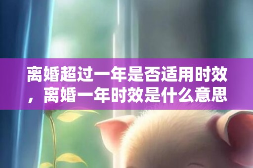 离婚超过一年是否适用时效，离婚一年时效是什么意思
