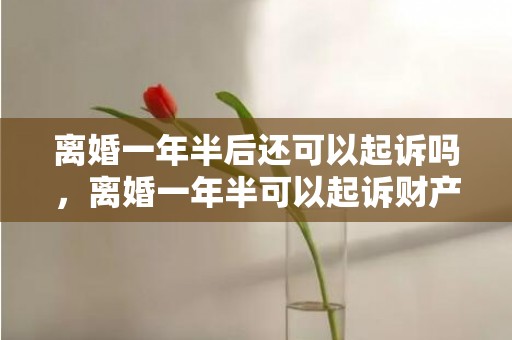 离婚一年半后还可以起诉吗，离婚一年半可以起诉财产