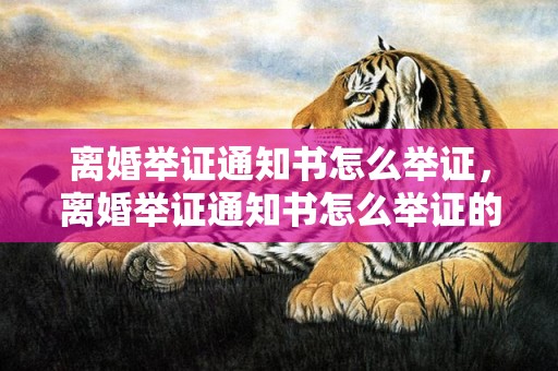 离婚举证通知书怎么举证，离婚举证通知书怎么举证的
