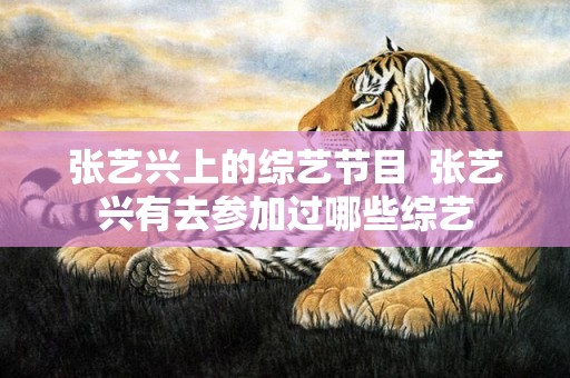 张艺兴上的综艺节目  张艺兴有去参加过哪些综艺