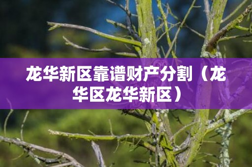 龙华新区靠谱财产分割（龙华区龙华新区）
