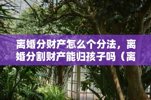 离婚分财产怎么个分法，离婚分割财产能归孩子吗（离婚时财产已分割,还可以要求重新分割吗）