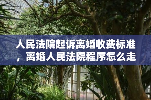 人民法院起诉离婚收费标准，离婚人民法院程序怎么走