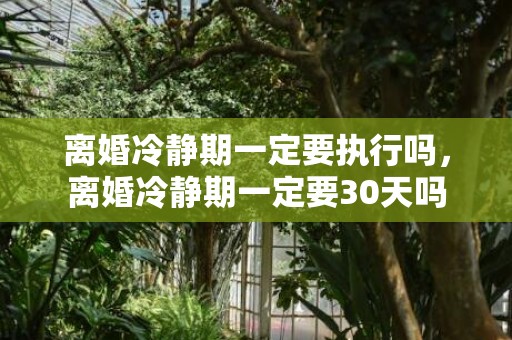 离婚冷静期一定要执行吗，离婚冷静期一定要30天吗