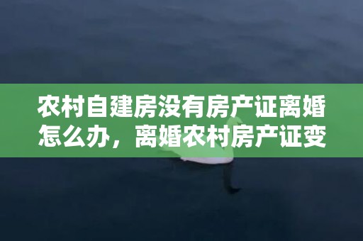 农村自建房没有房产证离婚怎么办，离婚农村房产证变更户主