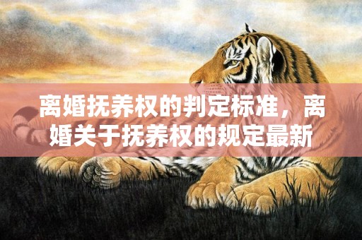离婚抚养权的判定标准，离婚关于抚养权的规定最新