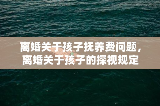 离婚关于孩子抚养费问题，离婚关于孩子的探视规定