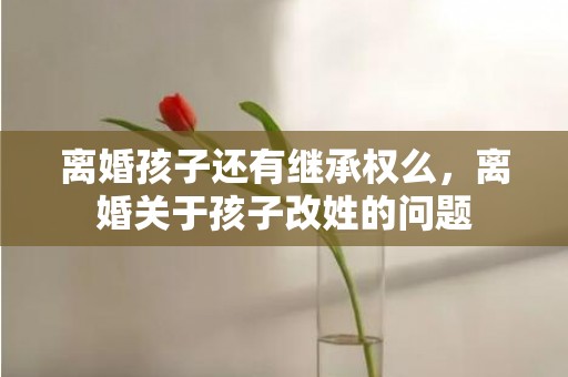 离婚孩子还有继承权么，离婚关于孩子改姓的问题