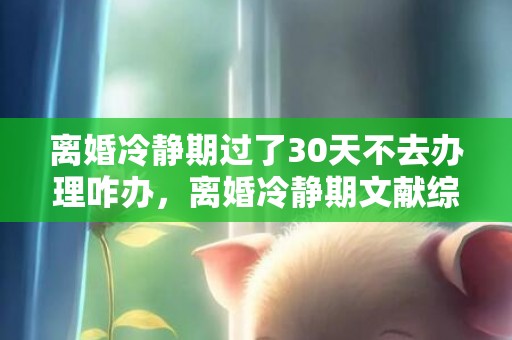 离婚冷静期过了30天不去办理咋办，离婚冷静期文献综述范文