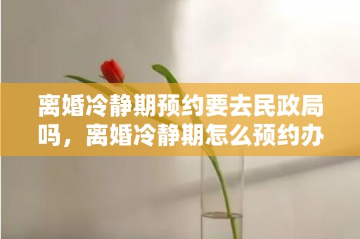 离婚冷静期预约要去民政局吗，离婚冷静期怎么预约办理