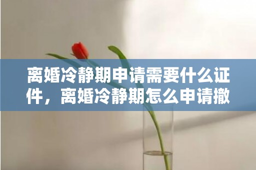 离婚冷静期申请需要什么证件，离婚冷静期怎么申请撤销