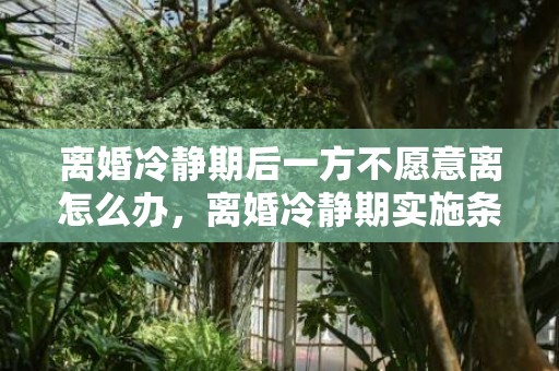 离婚冷静期后一方不愿意离怎么办，离婚冷静期实施条款出炉