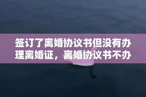 签订了离婚协议书但没有办理离婚证，离婚协议书不办理有效吗