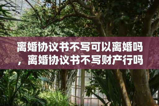离婚协议书不写可以离婚吗，离婚协议书不写财产行吗