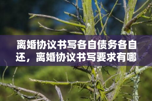 离婚协议书写各自债务各自还，离婚协议书写要求有哪些