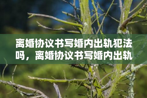 离婚协议书写婚内出轨犯法吗，离婚协议书写婚内出轨