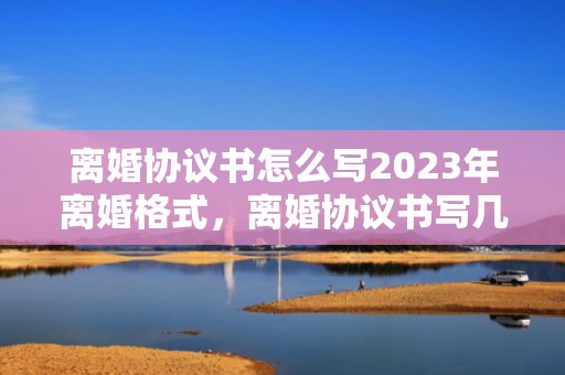 离婚协议书怎么写2023年离婚格式，离婚协议书写几张有效
