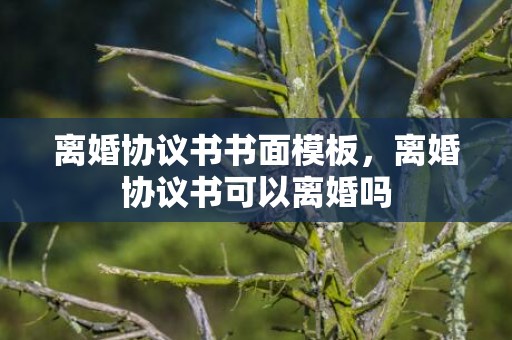离婚协议书书面模板，离婚协议书可以离婚吗