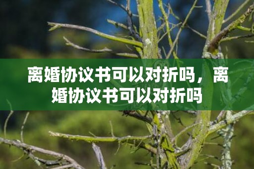 离婚协议书可以对折吗，离婚协议书可以对折吗