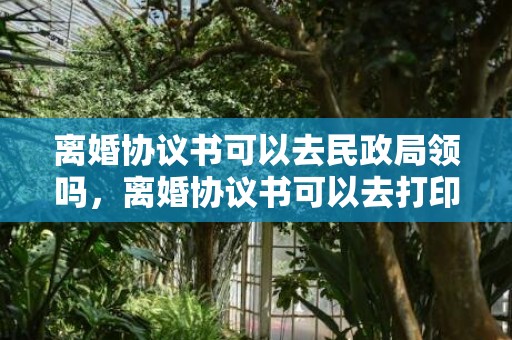 离婚协议书可以去民政局领吗，离婚协议书可以去打印吗