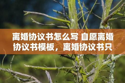离婚协议书怎么写 自愿离婚协议书模板，离婚协议书只能手写吗
