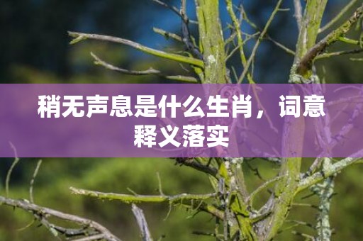 稍无声息是什么生肖，词意释义落实