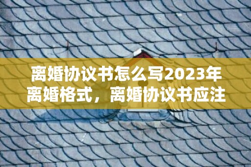 离婚协议书怎么写2023年离婚格式，离婚协议书应注意哪些
