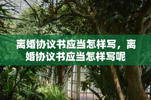 离婚协议书应当怎样写，离婚协议书应当怎样写呢