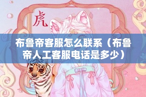 布鲁帝客服怎么联系（布鲁帝人工客服电话是多少）