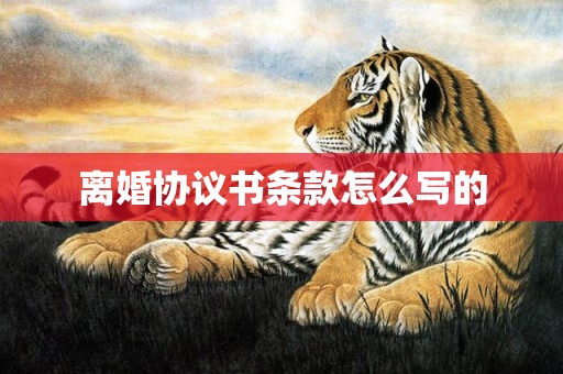 离婚协议书条款怎么写的
