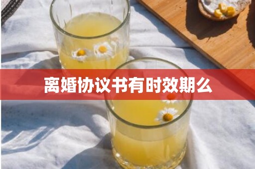 离婚协议书有时效期么