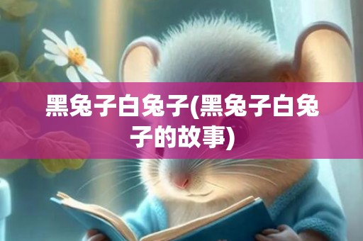 黑兔子白兔子(黑兔子白兔子的故事)