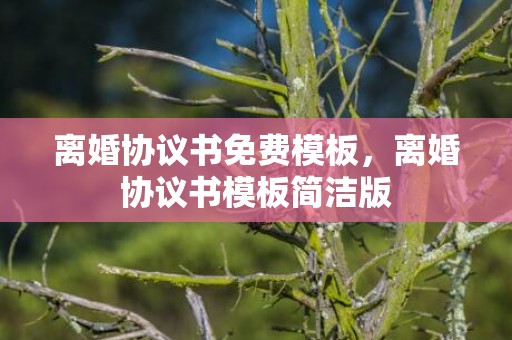 离婚协议书免费模板，离婚协议书模板简洁版