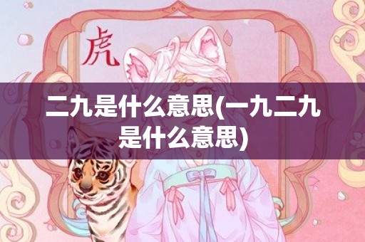 二九是什么意思(一九二九是什么意思)