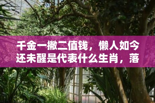 千金一撇二值钱，懒人如今还未醒是代表什么生肖，落实词语解释
