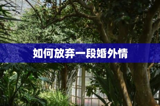 如何放弃一段婚外情