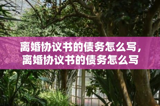离婚协议书的债务怎么写，离婚协议书的债务怎么写