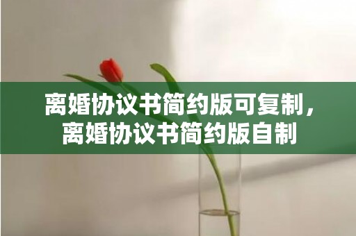 离婚协议书简约版可复制，离婚协议书简约版自制