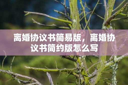 离婚协议书简易版，离婚协议书简约版怎么写