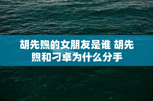胡先煦的女朋友是谁 胡先煦和刁卓为什么分手