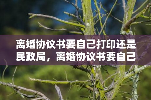 离婚协议书要自己打印还是民政局，离婚协议书要自己写的吗