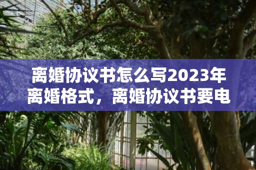 离婚协议书怎么写2023年离婚格式，离婚协议书要电脑打印吗