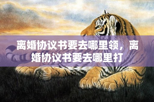 离婚协议书要去哪里领，离婚协议书要去哪里打