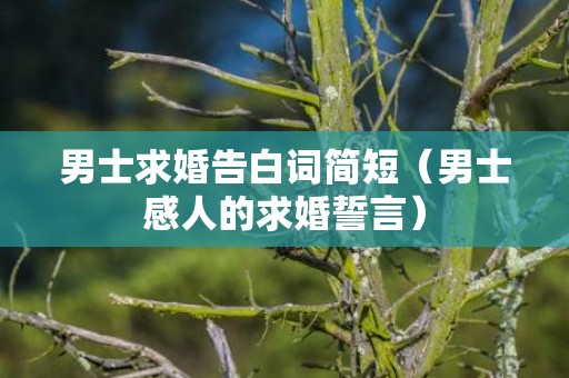 男士求婚告白词简短（男士感人的求婚誓言）