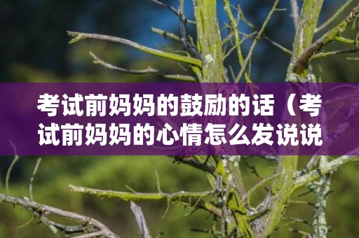 考试前妈妈的鼓励的话（考试前妈妈的心情怎么发说说）