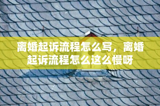 离婚起诉流程怎么写，离婚起诉流程怎么这么慢呀