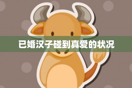 已婚汉子碰到真爱的状况