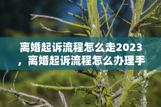 离婚起诉流程怎么走2023，离婚起诉流程怎么办理手续