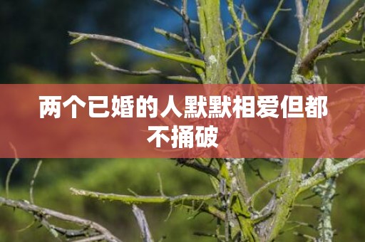 两个已婚的人默默相爱但都不捅破